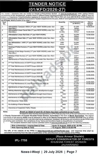 Newspaper clipping: Punjab Forest Department Tender 01/KFD/2026-27 – Afforestation & Maintenance Works (Khushab/Jauharabad), Nawa-i-Waqt, 29 Jul 2026