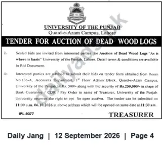 Newspaper clipping: Tender/Auction: Dead Wood Logs — University of the Punjab, Lahore (Closing 2026-10-06), Jang, 12 Sep 2026