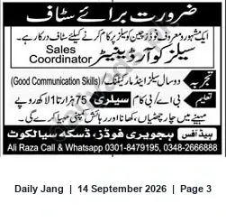 Newspaper clipping: Sales Coordinator Vacancy — Head Office (Foods), Daska Sialkot, Jang, 14 Sep 2026
