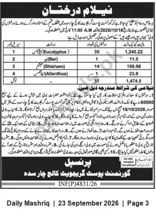 Newspaper clipping: Auction Notice: Sale of 51 Standing Trees (Eucalyptus, Shisham, Ailanthus, Ber) — 2026-10-18, Daily Mashriq, 23 Sep 2026