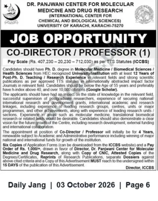 Newspaper clipping: Co-Director / Professor — Dr. Panjwani Center, University of Karachi, Jang, 03 Oct 2026