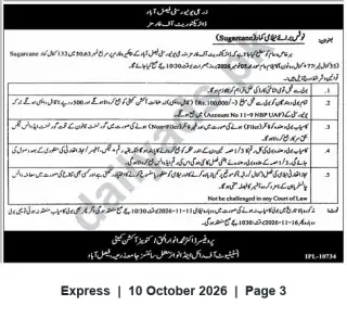 Newspaper clipping: Public Auction: Sale of Sugarcane — Deputy Commissioner Faisalabad, Express, 10 Oct 2026
