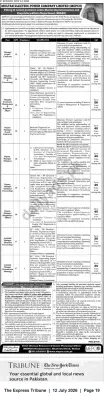 Newspaper clipping: MEPCO Vacancies — Market Implementation & Regulatory Affairs (MIRAD) Positions, The Express Tribune, 12 Jul 2026