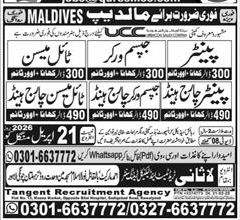 Jobs in Maldives for Painters, Masons, and Workers – Jobs ad in Rawalpindi from Express, published 16 Apr 2026